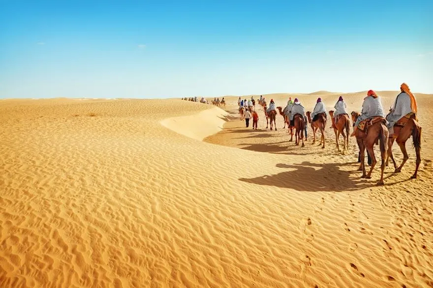 Các sa mạc trên thế giới biến mất có phải là một điều tốt