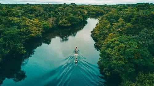 Amazon đáng sợ như thế nào? Tại sao người dân địa phương sợ bơi sông Amazon?