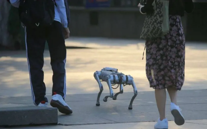 Người dân Trung Quốc lại có thú vui mới: nuôi chó robot làm cảnh