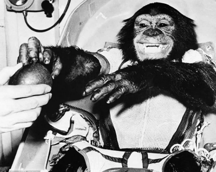 Trung Quốc chuẩn bị đưa khỉ lên trạm vũ trụ để thử nghiệm... tình dục