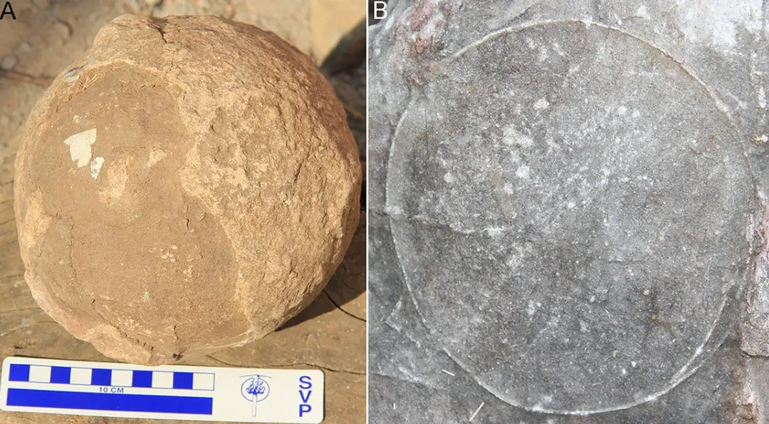 Phát hiện gần 100 quả trứng khủng long hóa thạch ở Ấn Độ và nhiều kiến thức con người chưa từng được biết đến
