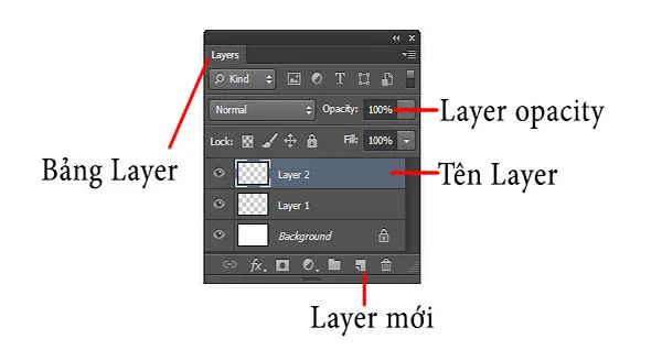 Các thao tác cơ bản với Layer khi làm quen Photoshop