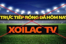 Triệt phá hệ thống Xôi Lạc TV: Kê biên hơn 300 tỷ đồng, mở rộng điều tra loạt kênh bóng đá lậu