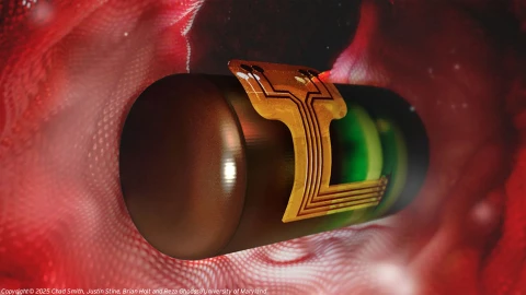 Tương lai của y học: robot siêu nhỏ hoạt động bên trong cơ thể người