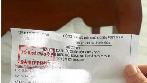 Đăng ảnh thẻ cử tri lên mạng xã hội: Cẩn trọng nguy cơ lộ thông tin cá nhân