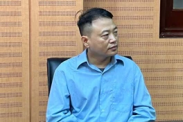Shark Bình liên quan gì đến Mr.Pips?