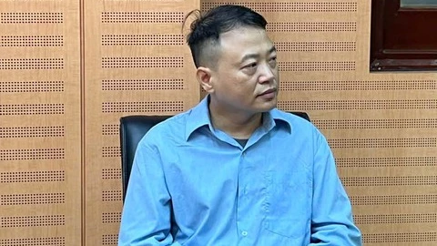 Shark Bình liên quan gì đến Mr.Pips?