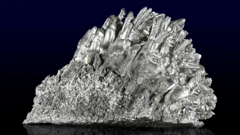 Thép, nhôm hay titan đều “lép vế” trước công nghệ mới từ… lá cây