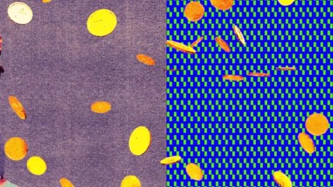 Một phút ghi âm cuộc gọi có giá 0,50 đô la; con người đang "bán" cuộc sống của mình cho trí tuệ nhân tạo