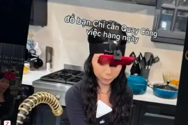 Bán video rửa bát, quét nhà lấy 2.000 đồng: Nghề mới hay bẫy dữ liệu?