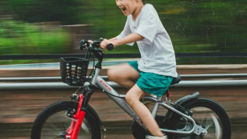 Tại sao học đi xe đạp một lần là nhớ mãi cả đời, còn học những cái khác như đánh đàn thì lại quên ngay?