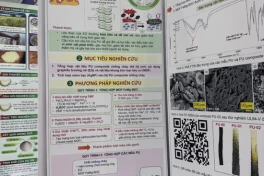Một giải Nhất cuộc thi nghiên cứu khoa học, kỹ thuật cấp Quốc gia 2025-2026 bị nghi ngờ tính liêm chính