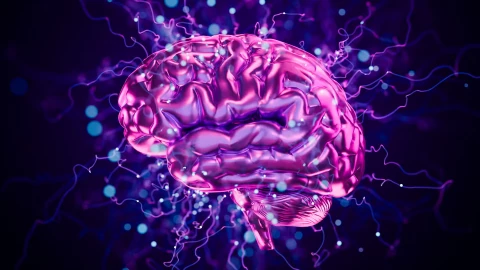 Tìm thấy “công tắc” kiểm soát Alzheimer trong não người