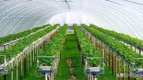 Tại sao Israel lại ngạo mạn đến vậy? Bởi vì họ sở hữu những công nghệ siêu tiên tiến này