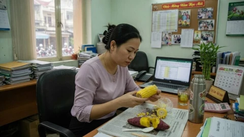 Ăn sáng bằng ngô và khoai lang có tốt không? Lời khuyên từ chuyên gia