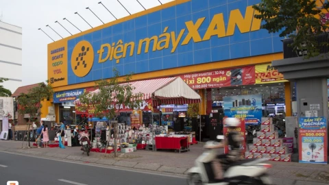 "Gà đẻ trứng vàng" của Thế Giới Di Động thu đậm