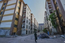 Royal Hill: Cứ 5 giây một cuộc gọi, 5 roi cho một lần thất bại