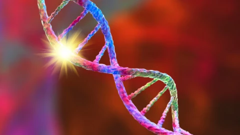 Bí ẩn hồ Malawi: Vì sao một loài cá có thể tiến hóa thành 800 loài?