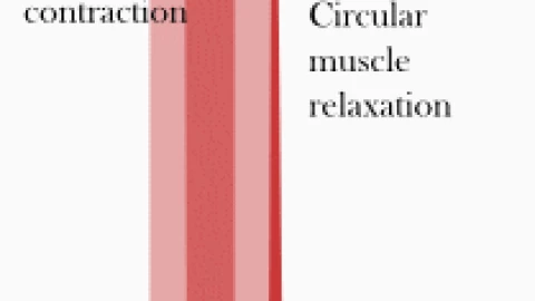 Trong môi trường không trọng lực, các phi hành gia ăn uống bằng cách này