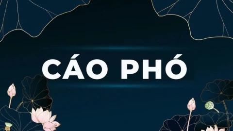 Facebook liên tục đẩy tin chia buồn, cáo phó vào newsfeed? Đây là lý do và cách xử lý