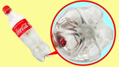 Tại sao đáy chai nước ngọt hình cánh hoa? Giải mã công nghệ ISBM