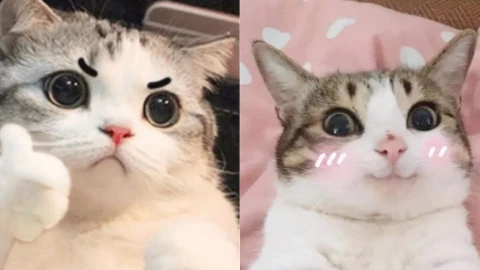 'Buôn chuyện' trên Discord, sinh viên 22 tuổi phát hiện mạng botnet tấn công DDoS nhất hành tinh