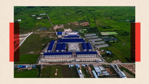 Lừa đảo trên mạng ngày càng tinh vi, nhưng thế giới cũng bắt đầu phản công mạnh hơn