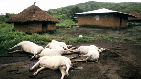 Làm thế nào một hồ nước lại khiến 1700 người thiệt mạng chỉ sau một đêm