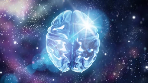 Ngủ đông như phim viễn tưởng sắp thành hiện thực? Khoa học vừa tiến thêm một bước