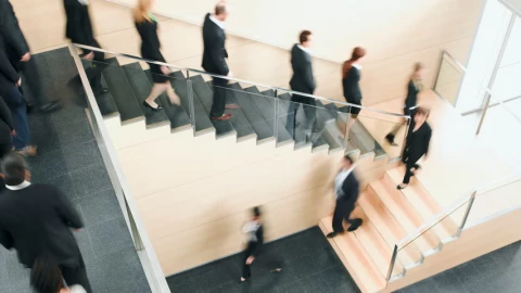 Có phải Microsoft và Google đang sa thải lập trình viên trong khi tuyển dụng nhân sự xã hội nhân văn