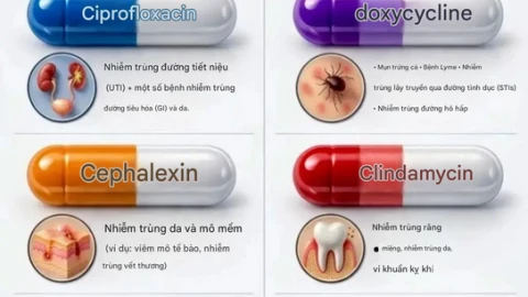 Bạn có thực sự dùng thuốc kháng sinh phù hợp trong tủ thuốc tại nhà không? Biết 10 loại kháng sinh thường được sử dụng trong một bức ảnh!
