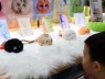 Đồ chơi tích hợp trí tuệ nhân tạo đang dần xuất hiện trong phòng chơi của trẻ em