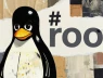 Phát hiện lỗ hổng Linux nghiêm trọng: Kẻ tấn công có thể chiếm root chỉ với đoạn mã Python ngắn