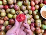 Tại sao không nên ăn quá 7 quả mận mỗi ngày?