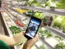 Người dân có thể truy xuất nguồn gốc thực phẩm qua 1 app của Nhà nước phát triển