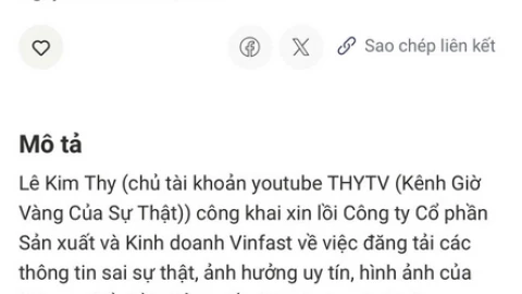 Vingroup kiện đưa tin sai sự thật: Loạt đối tượng gỡ bài, xin lỗi, chịu phạt
