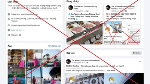 Quảng Ninh: Cảnh báo giả mạo fanpage khách sạn, du khách dễ bị mắc bẫy khi đặt phòng online
