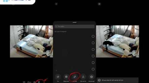 Cách tải video Threads trên web, Android và iPhone