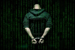 Thanh niên 23 tuổi điều khiển botnet khủng càn quét toàn cầu, nhắm cả hệ thống Bộ Quốc phòng Mỹ
