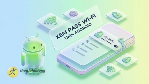 Cách xem mật khẩu Wi-Fi đã kết nối trên điện thoại để chia sẻ