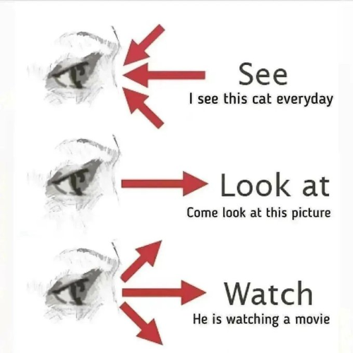 1728874780894.png 1728874780894.png