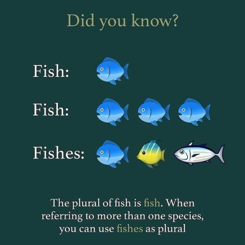 1728959834675.png 1728959834675.png