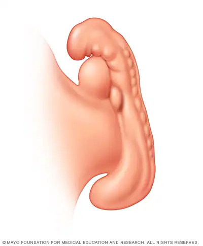 1736693848539.png 1736693848539.png