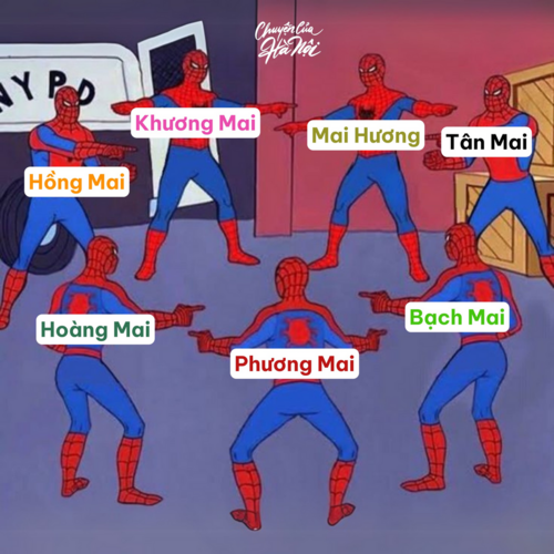 1739871012346.png 1739871012346.png