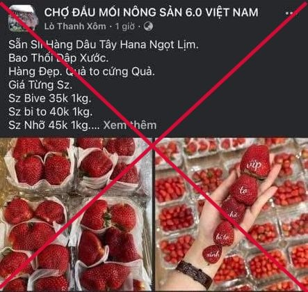 1740553060373.png 1740553060373.png