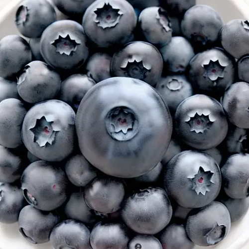 1740660631519.png