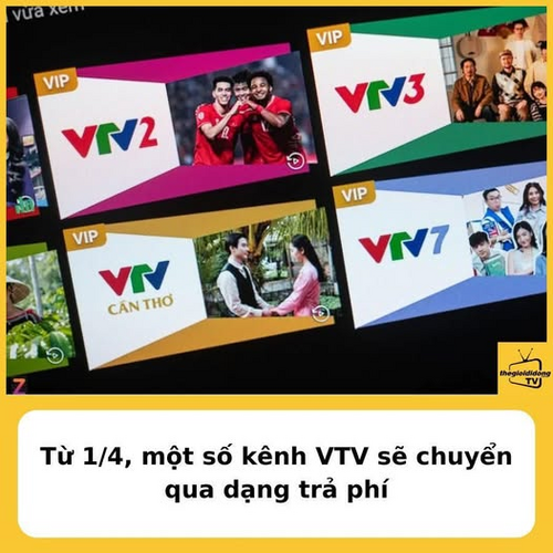 1743733198489.png