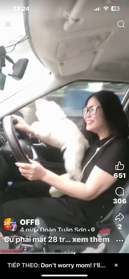 1744126135601.png 1744126135601.png
