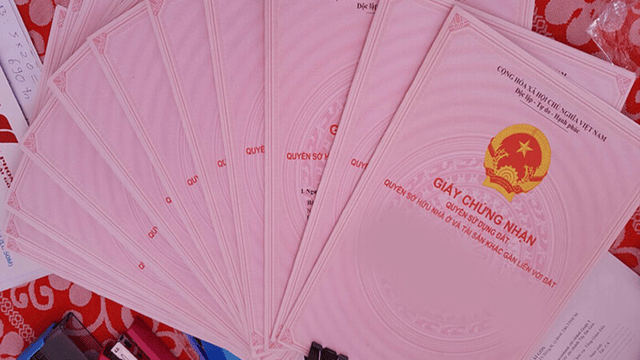 so-do-giay-chung-nhan-1745311491380342083363.png