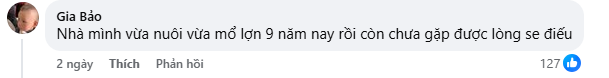 1746260491695.png 1746260491695.png